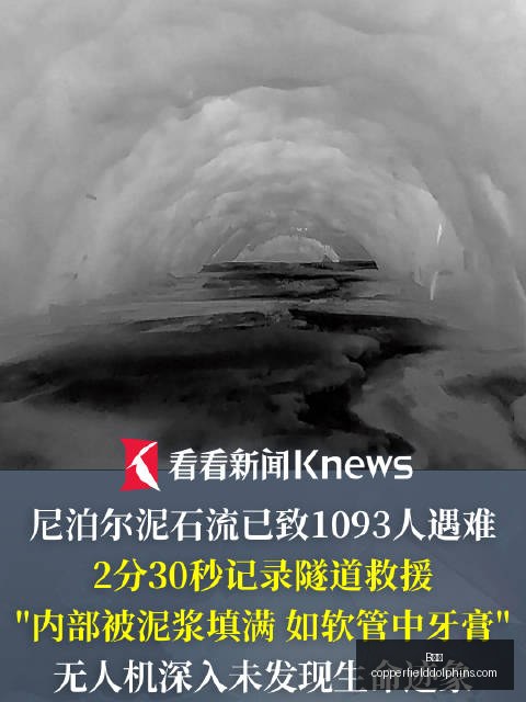 年安塔利利,益争夺战,班迪马士邦,B体育,B体育平台,B体育注册,B体育登录